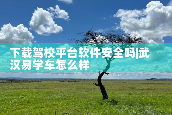 下载驾校平台软件安全吗