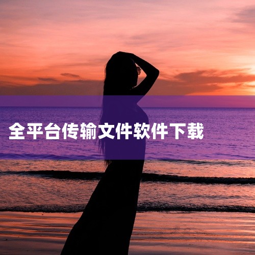 企业回不少团队为节省开支选用免费大文件传输工具，但这类工具普遍存在诸多隐形隐患，不仅传输速度不稳定、文件易丢失损坏，还缺乏数据加密防护。平台会私自留存企业文件数据，极易造成客户资料、商业方案泄露。同时|