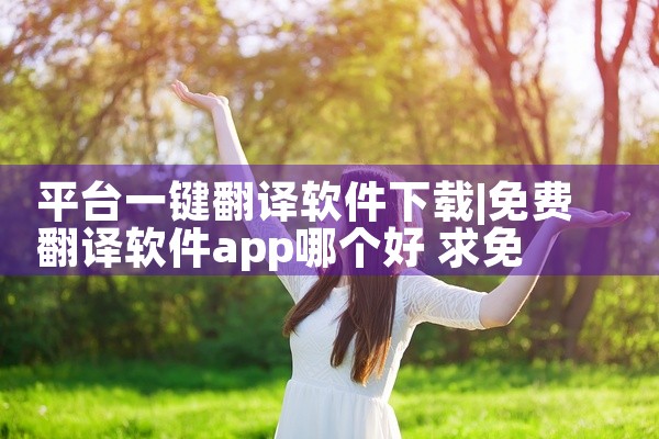 平台一键翻译软件下载