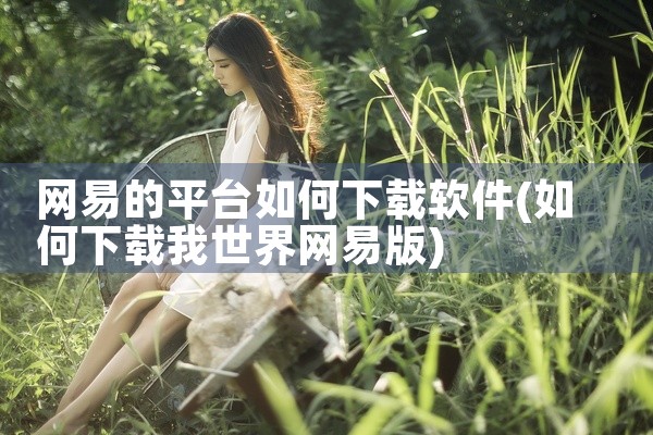 网易的平台如何下载软件