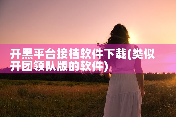 开黑平台接档软件下载