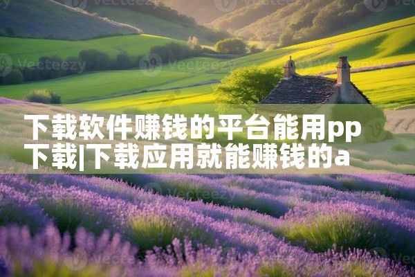 下载软件赚钱的平台能用pp下载