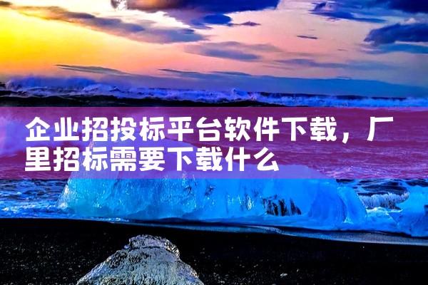 企业招投标平台软件下载