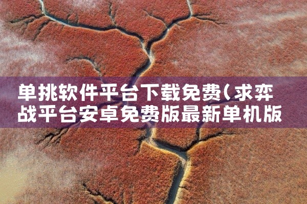 单挑软件平台下载免费